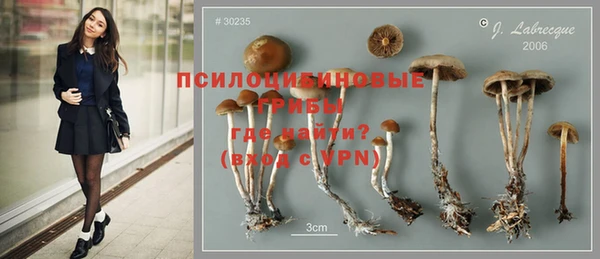 ешки Протвино