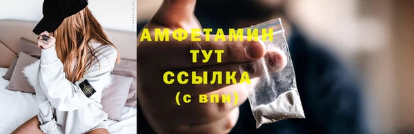 прущие грибы Рославль