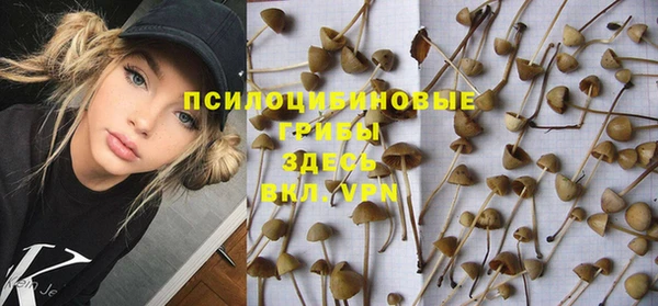 ешки Протвино
